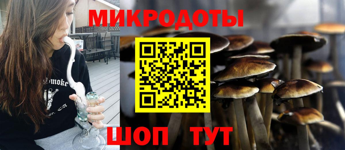 Псилоцибиновые грибы Cubensis  Вход с VPN  Холмск  Псилоцибиновые грибы мухоморы 